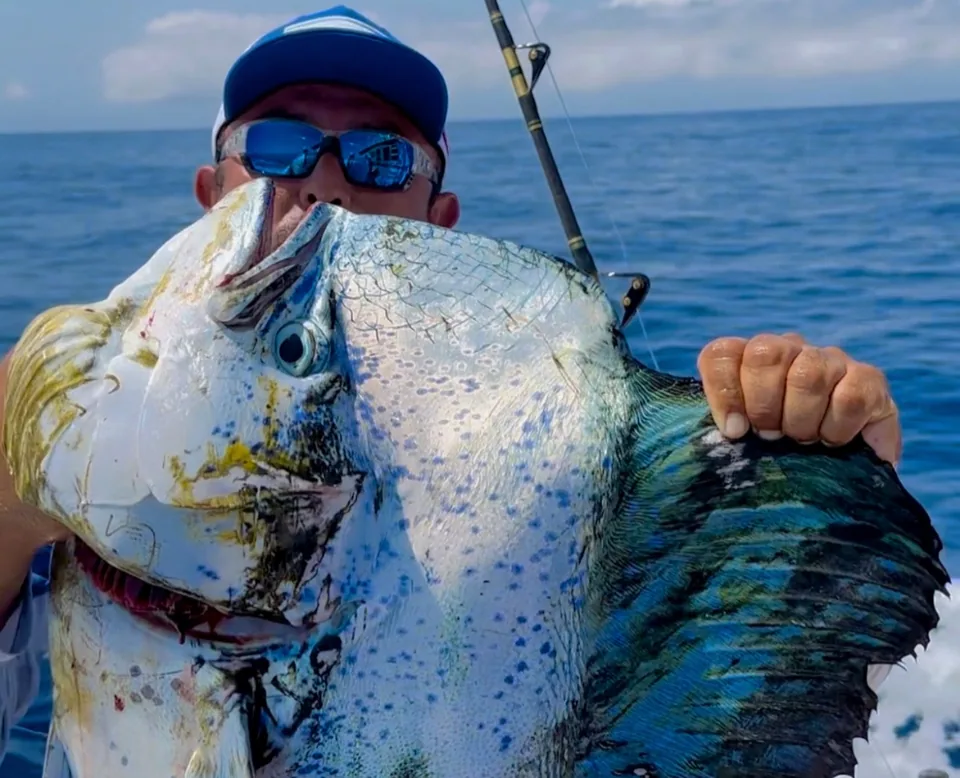 Cabo San Lucas sportfishing with Tag Cabo Sportfishing