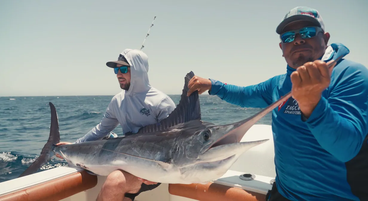 Why Cabo San Lucas Is One of the World's Greatest Marlin Destinations