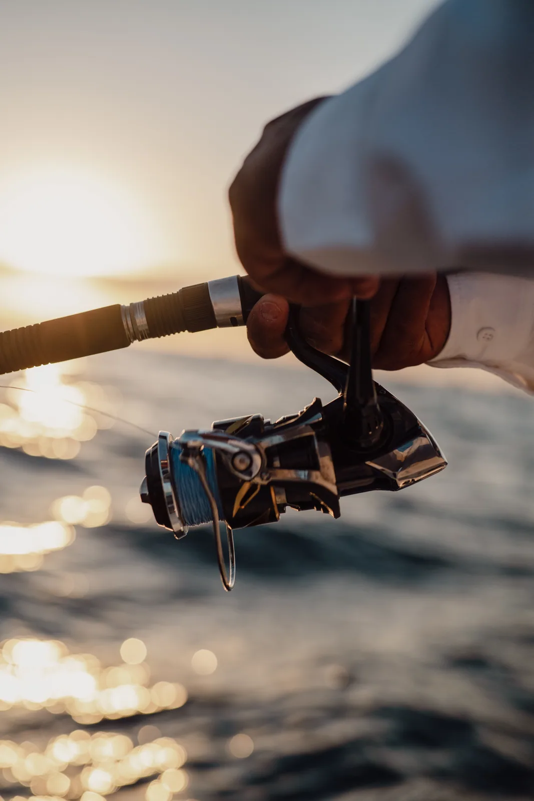 Cabo San Lucas sportfishing with Tag Cabo Sportfishing