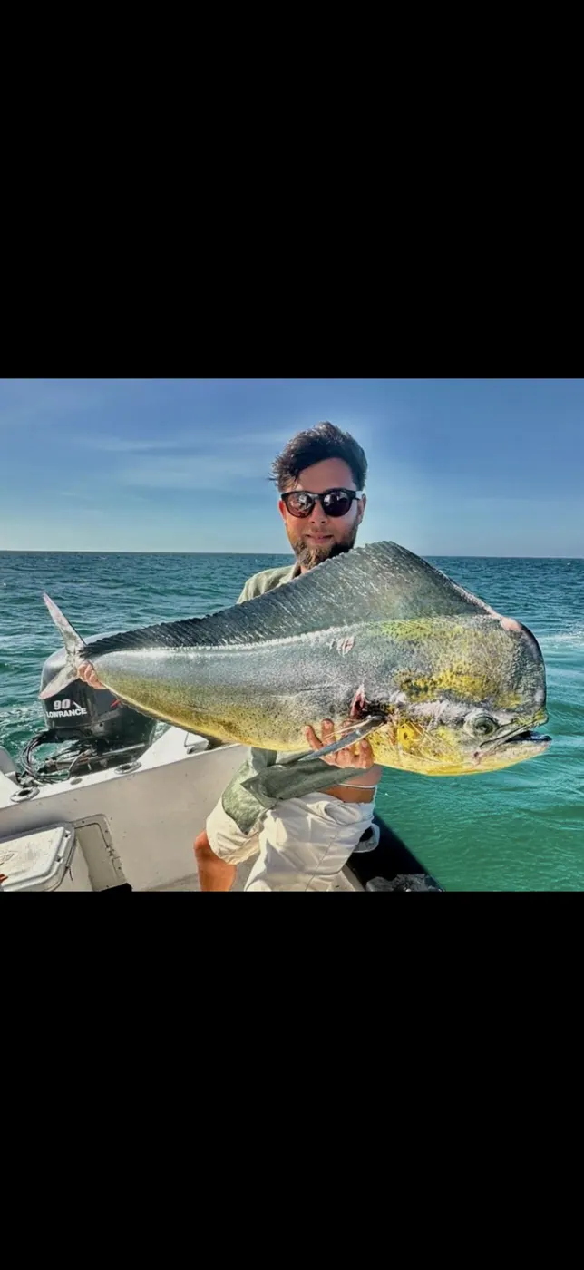 Catch photo shared by Barry Thompson on their Tag Cabo Sportfishing review