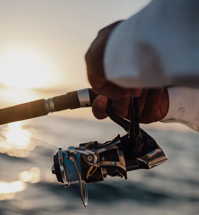 Choosing The Right SHIMANO Stella Reel