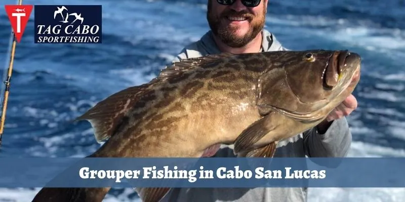 Where can you find Grouper fishing in Cabo San Lucas