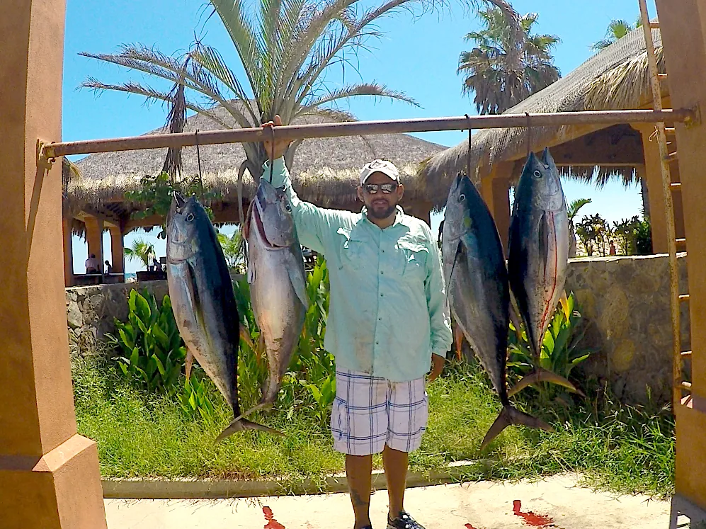 Why You Need A Yacht For Your Luxurious Fishing Trip