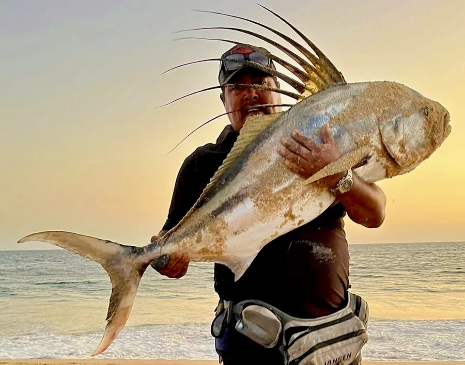 Cabo San Lucas sportfishing with Tag Cabo Sportfishing
