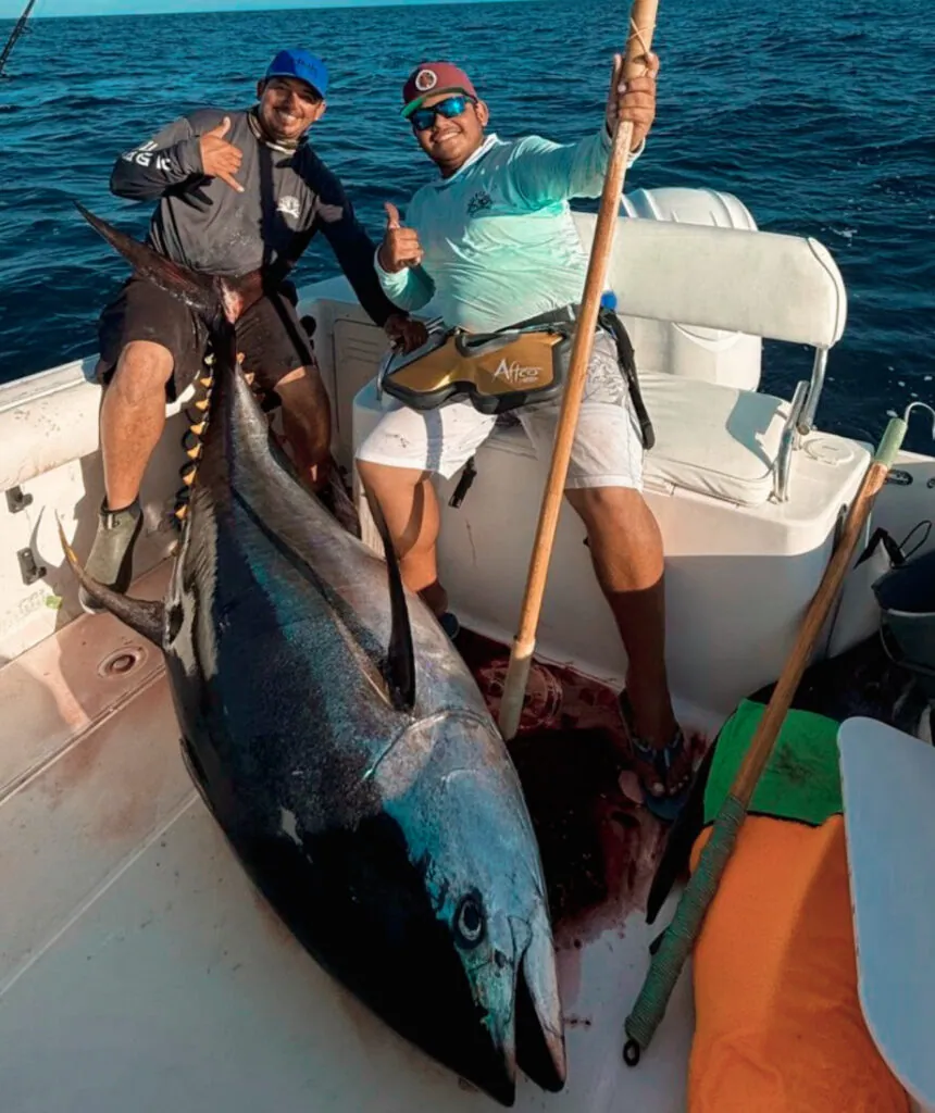 Massive 328-Lb Yellowfin Tuna Caught in San José del Cabo