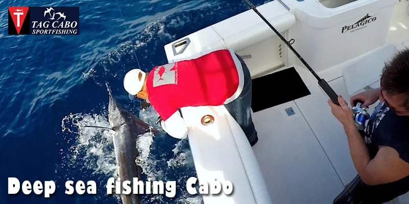 Fishing Charter in Cabo San Lucas can Make a Huge Difference to Your Experience – Tag Cabo Fishing