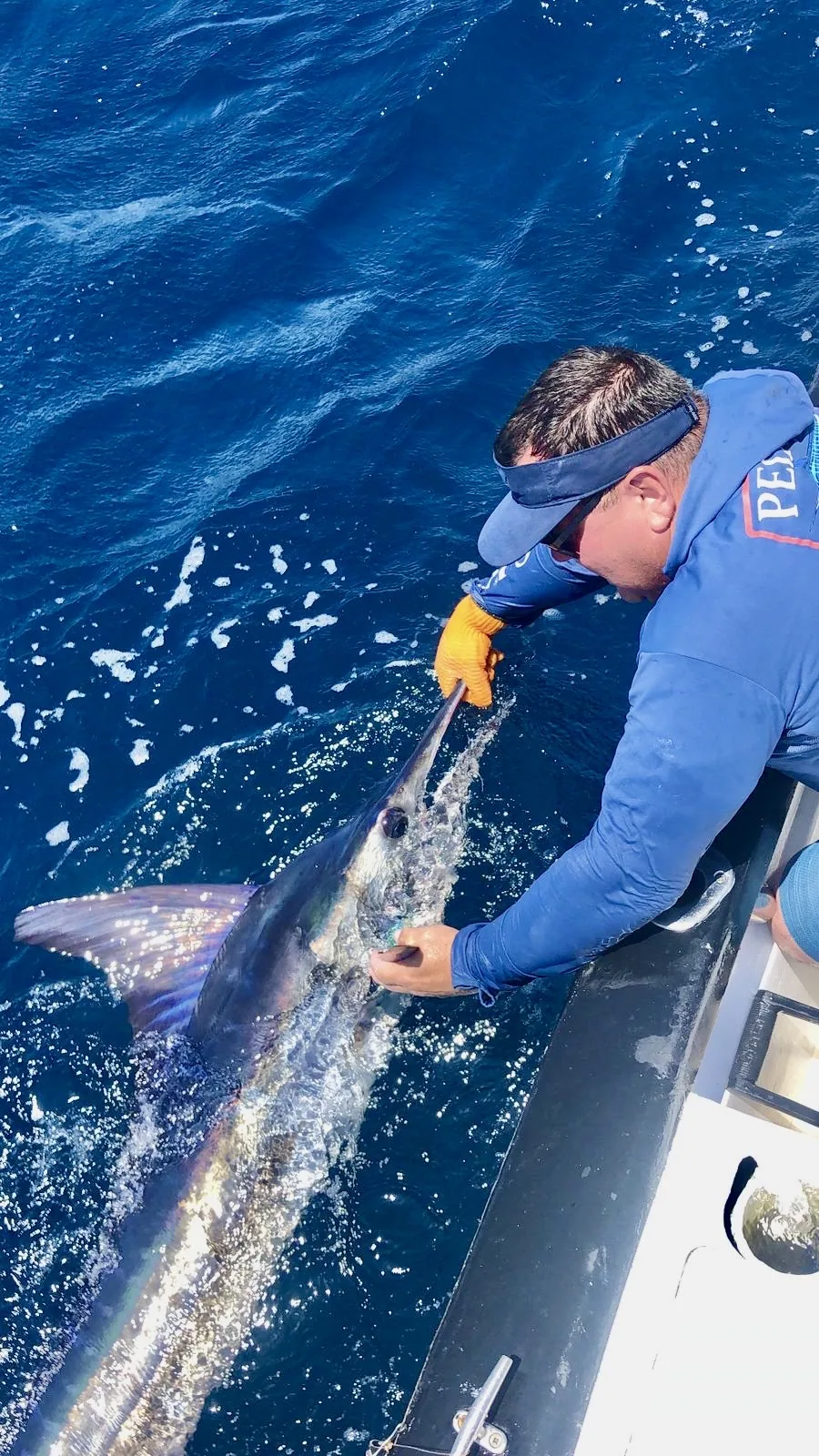 Cabo San Lucas sportfishing with Tag Cabo Sportfishing