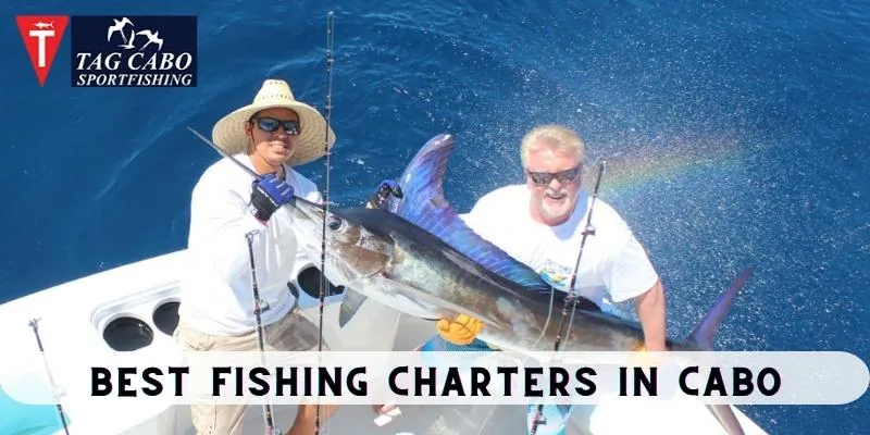 Fishing myths you need to know about | Cabo fishing charters