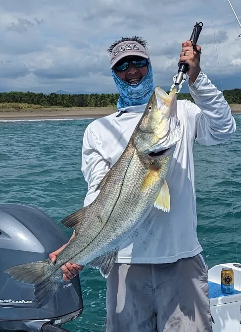 Cabo San Lucas sportfishing with Tag Cabo Sportfishing