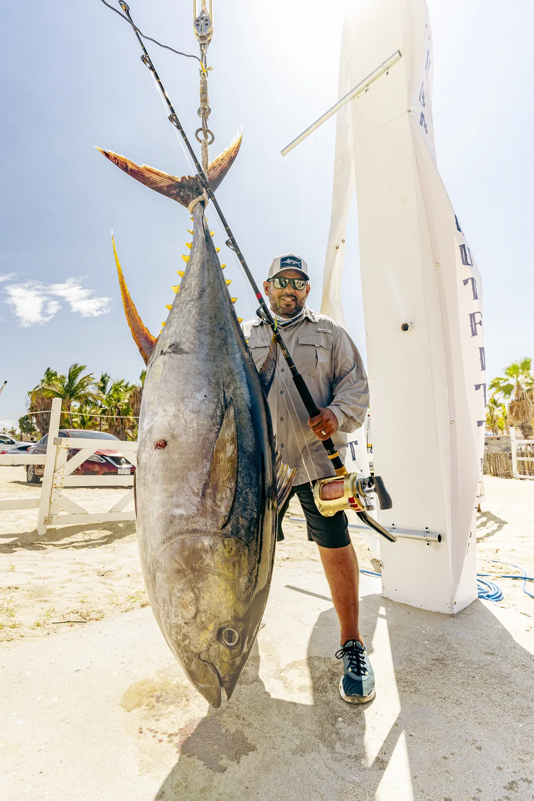 Cabo San Lucas sportfishing with Tag Cabo Sportfishing