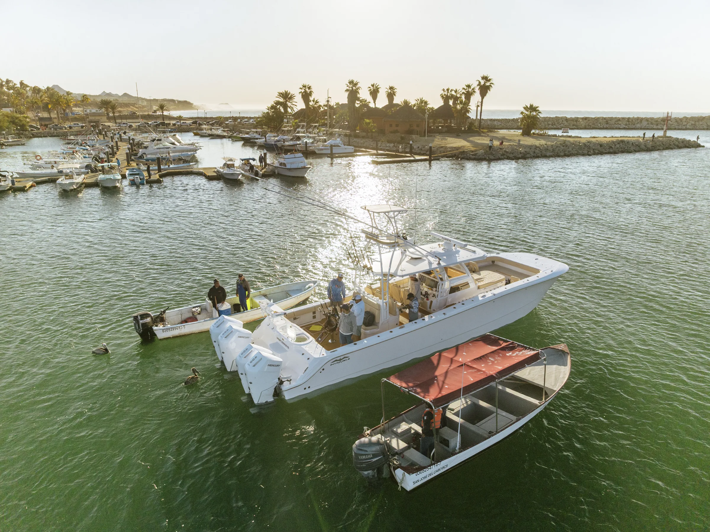 Cabo San Lucas sportfishing with Tag Cabo Sportfishing
