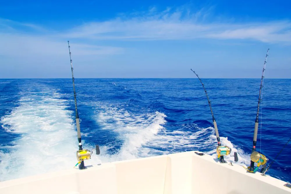 Off I Go Casting: Marlin Fishing in Cabo San Lucas