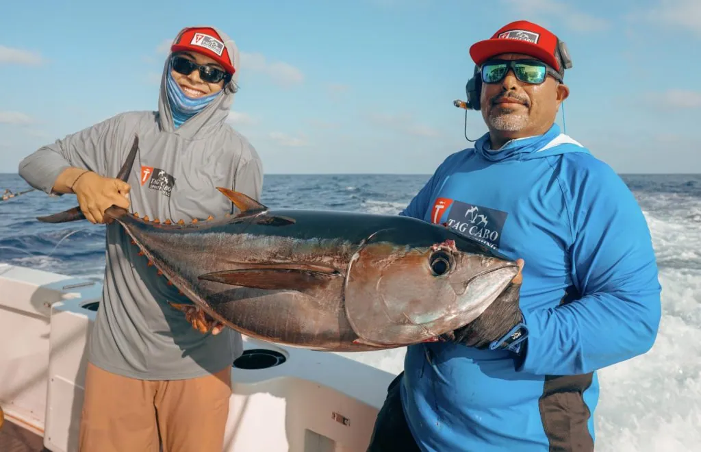 Yellowfin Tuna in Cabo