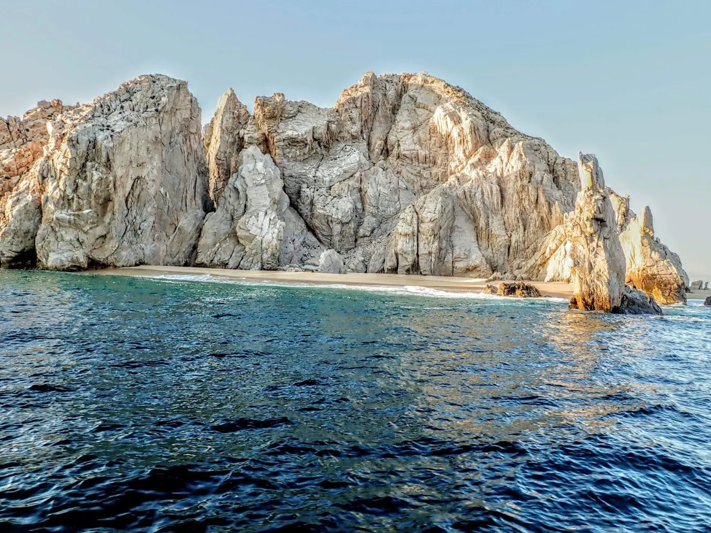 Catch photo shared by melissa Stoffel on their Tag Cabo Sportfishing review