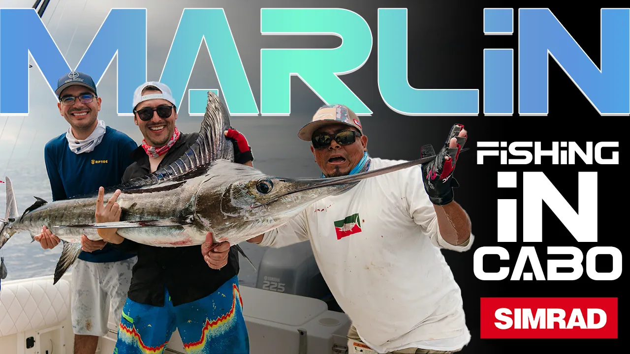 Deep Sea Fishing Cabo for Beginner Fishing Enthusiasts