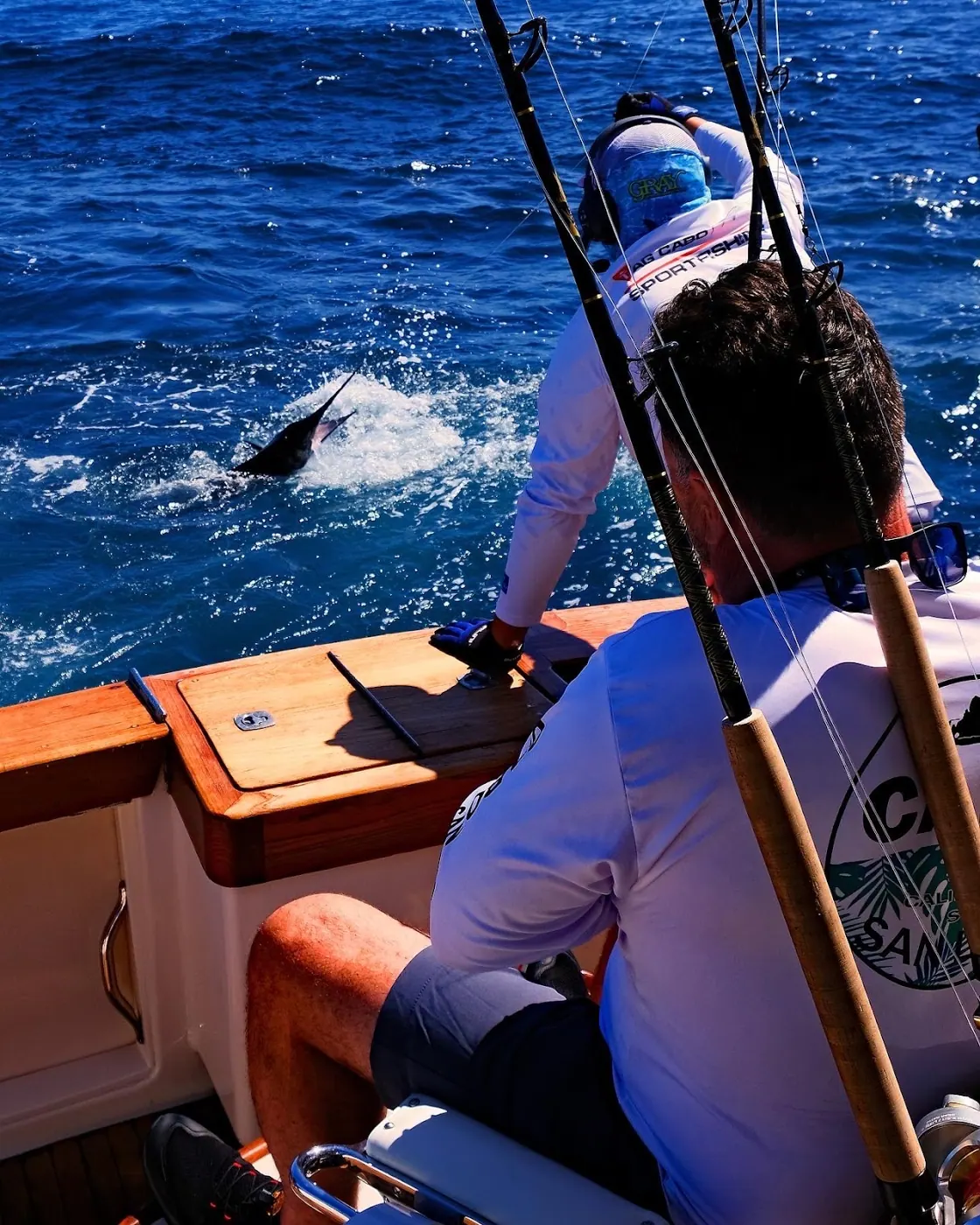 Catch photo shared by Michael Mora on their Tag Cabo Sportfishing review