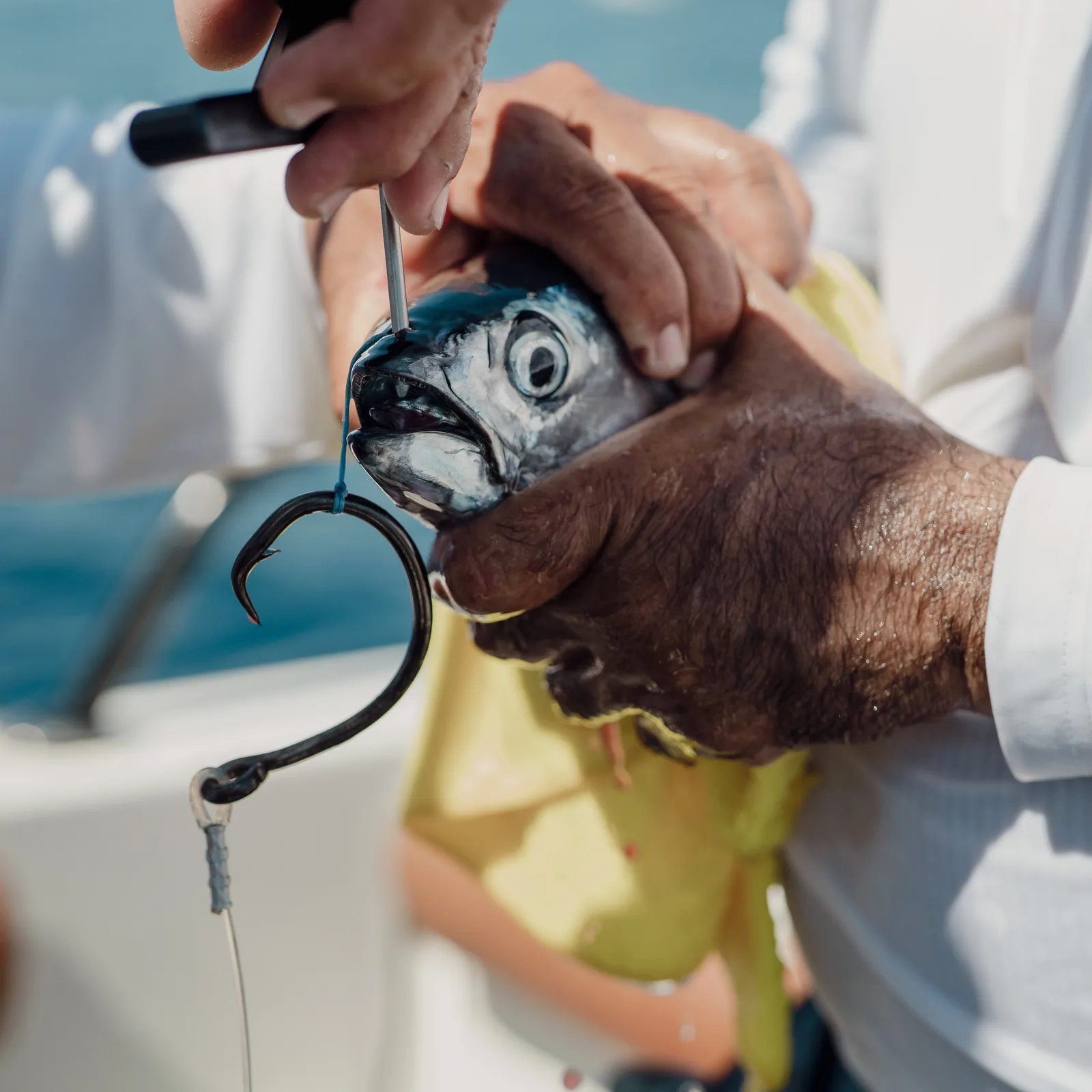 Cabo San Lucas sportfishing with Tag Cabo Sportfishing