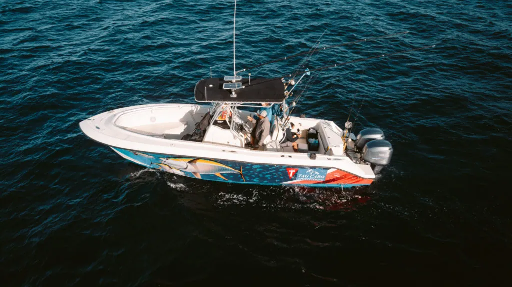 Grouper Fishing – The Best Bait & Place for Catching It | Cabo fishing