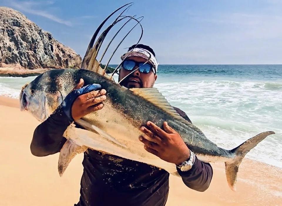 Cabo San Lucas sportfishing with Tag Cabo Sportfishing