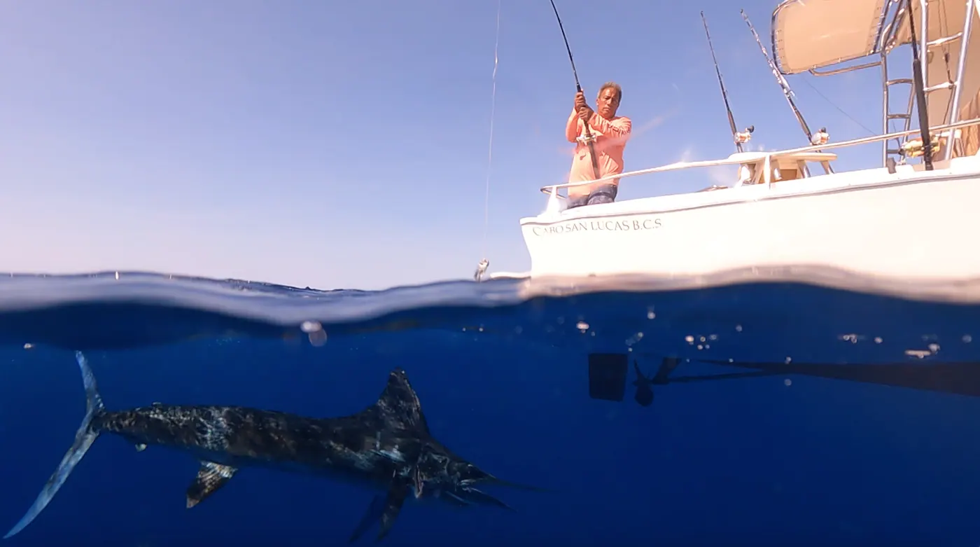 Catch photo shared by Keith Lusher Jr on their Tag Cabo Sportfishing review