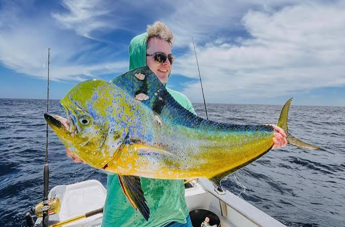 Dorado (Mahi-Mahi)