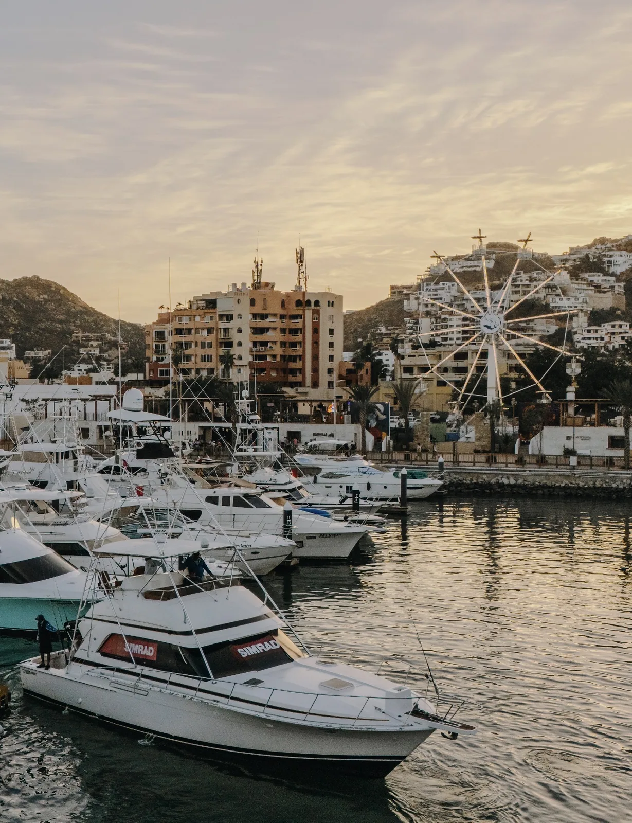 Cabo San Lucas sportfishing with Tag Cabo Sportfishing