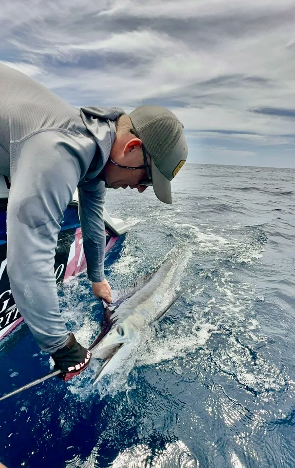 Cabo San Lucas sportfishing with Tag Cabo Sportfishing