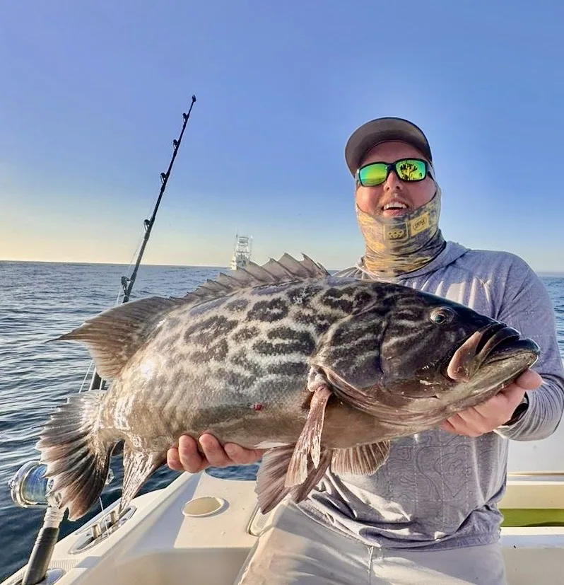 Snapper & Grouper caught fishing in Cabo San Lucas