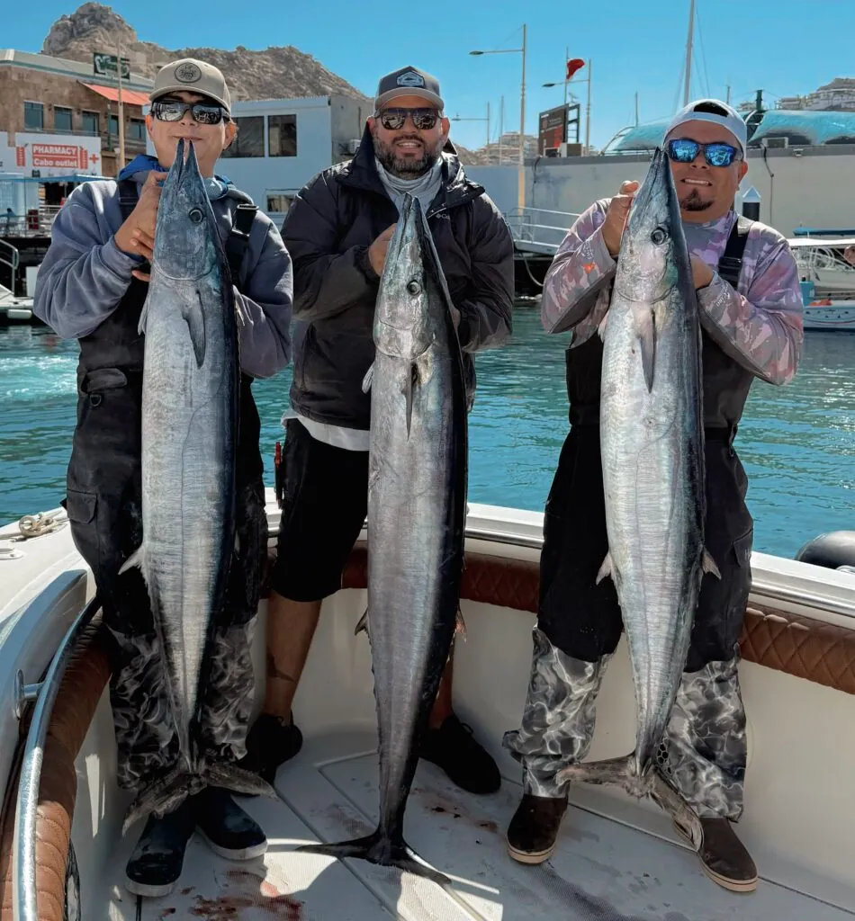The Ultimate Guide to Sportfishing in Cabo San Lucas