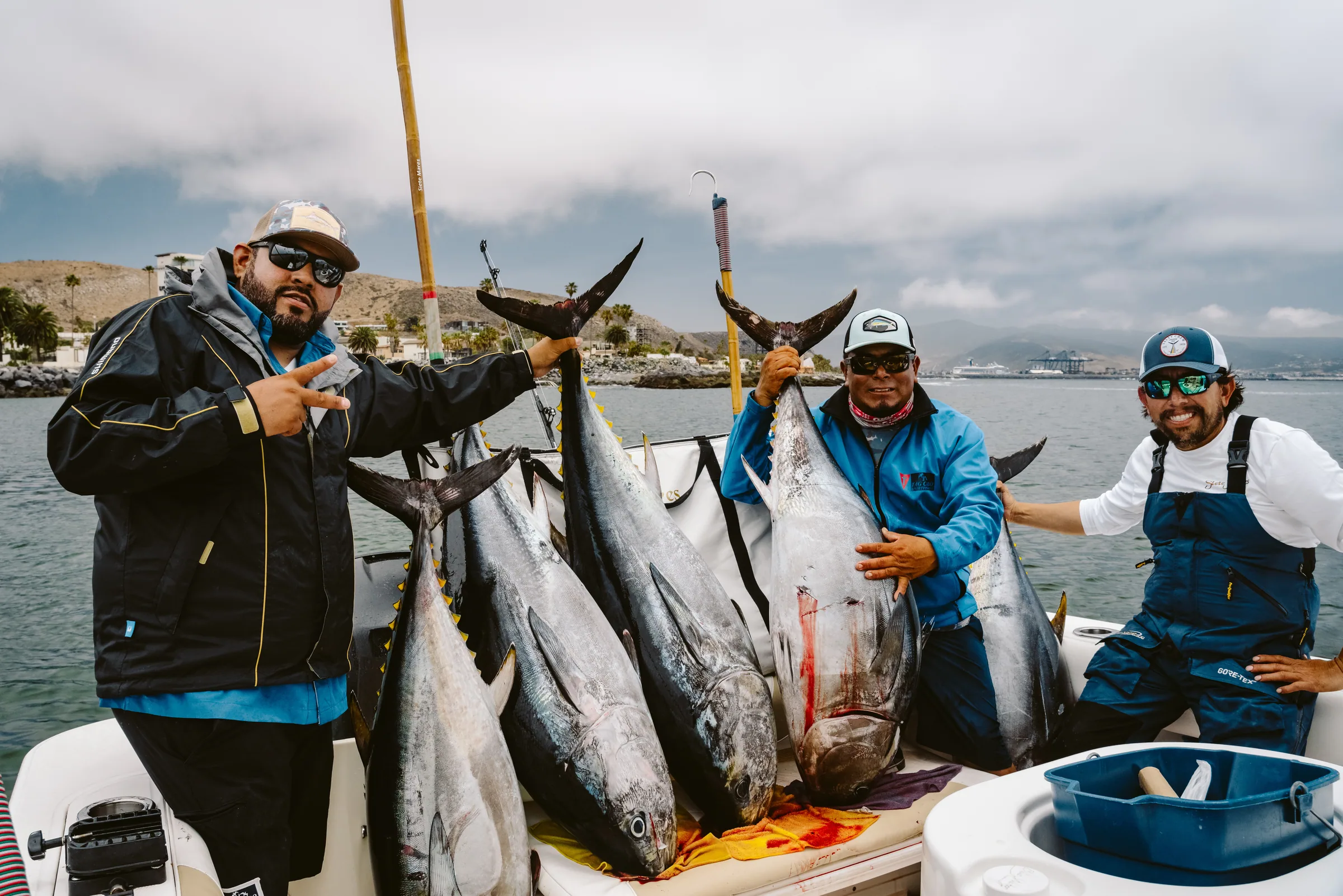 Cabo San Lucas sportfishing with Tag Cabo Sportfishing