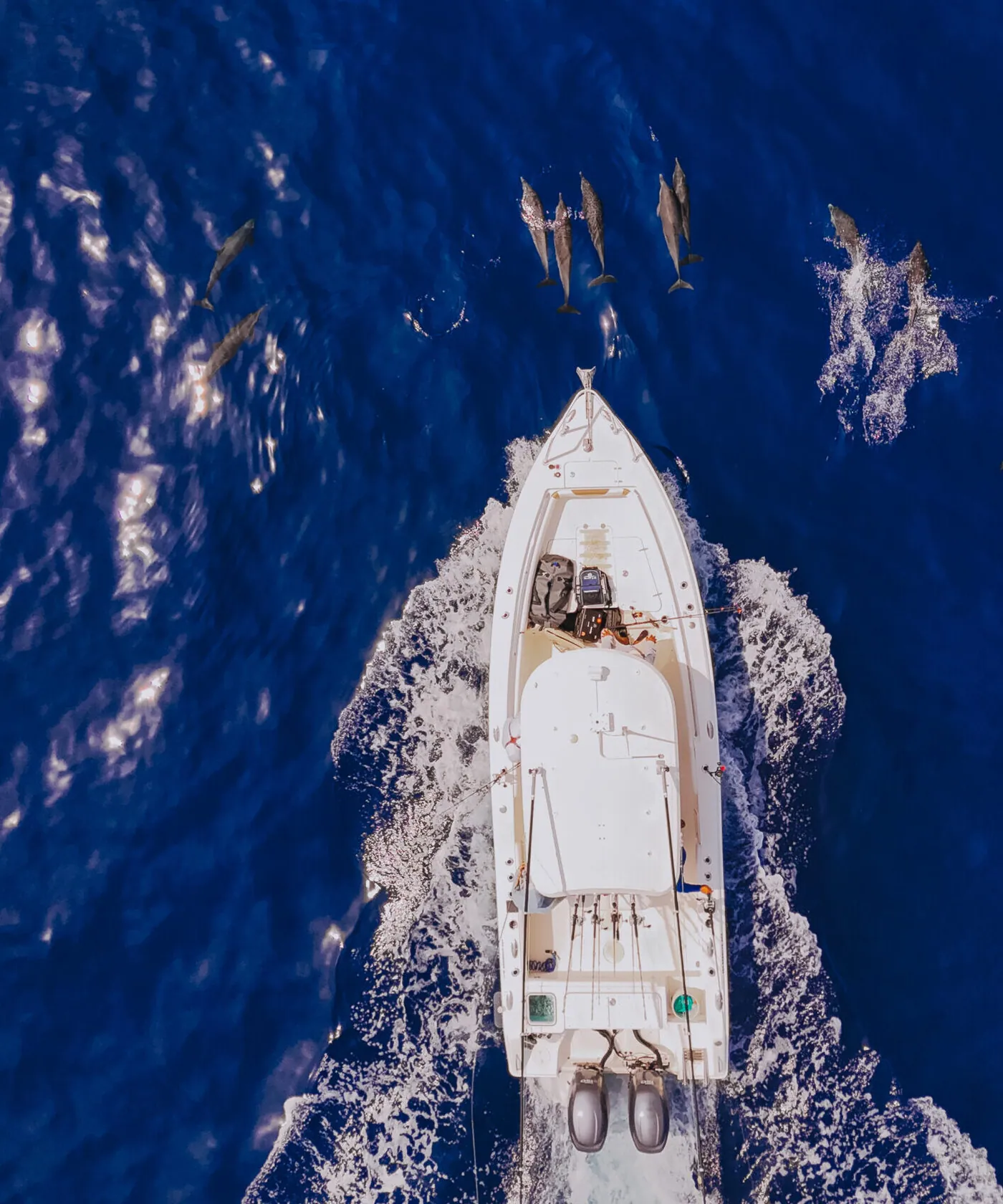 East Cape Fishing Adventures