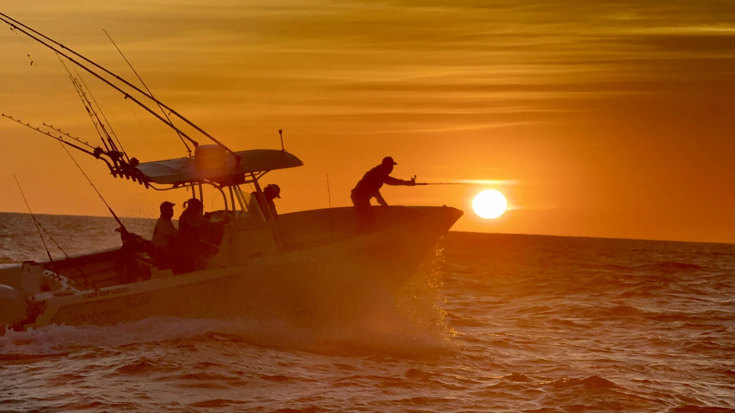 Cabo San Lucas sportfishing photo 31 with Tag Cabo Sportfishing