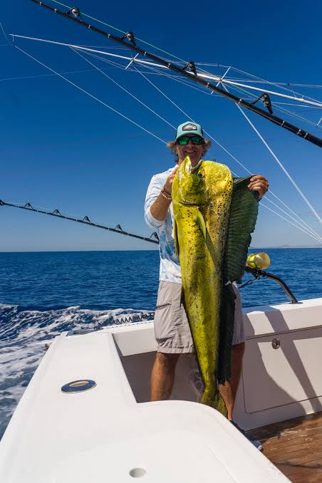 Dorado (Mahi-Mahi)