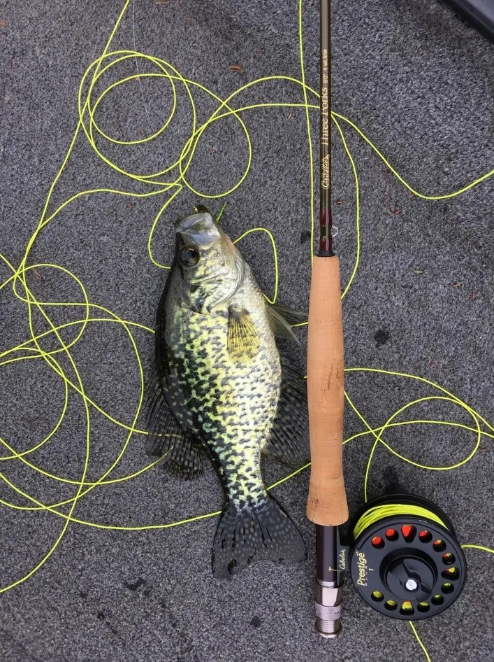 The Best Fishing Lines Available