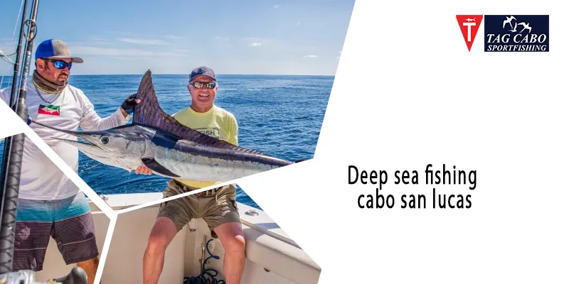 Deep-sea Fishing Vs. Onshore Fishing in Cabo – Tag Cabo Sportfishing