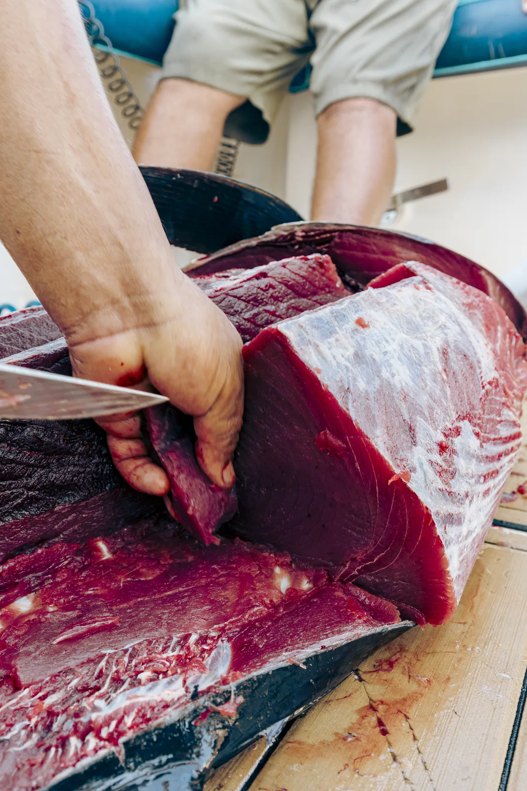 Cabo San Lucas sportfishing with Tag Cabo Sportfishing