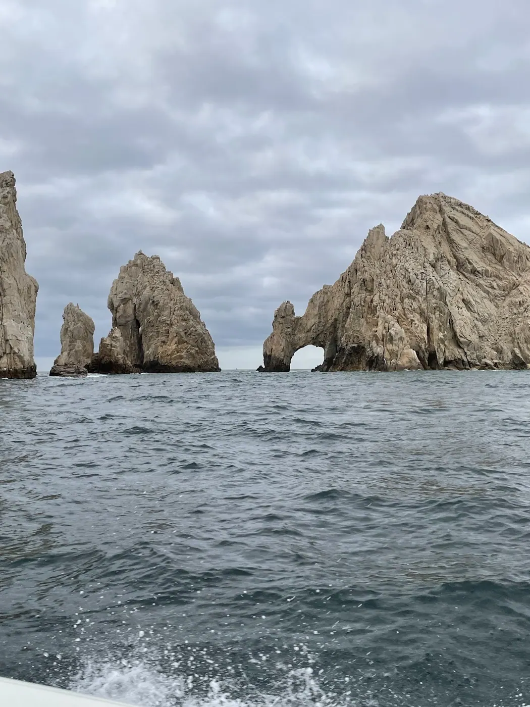 Catch photo shared by Monty Pelletier on their Tag Cabo Sportfishing review