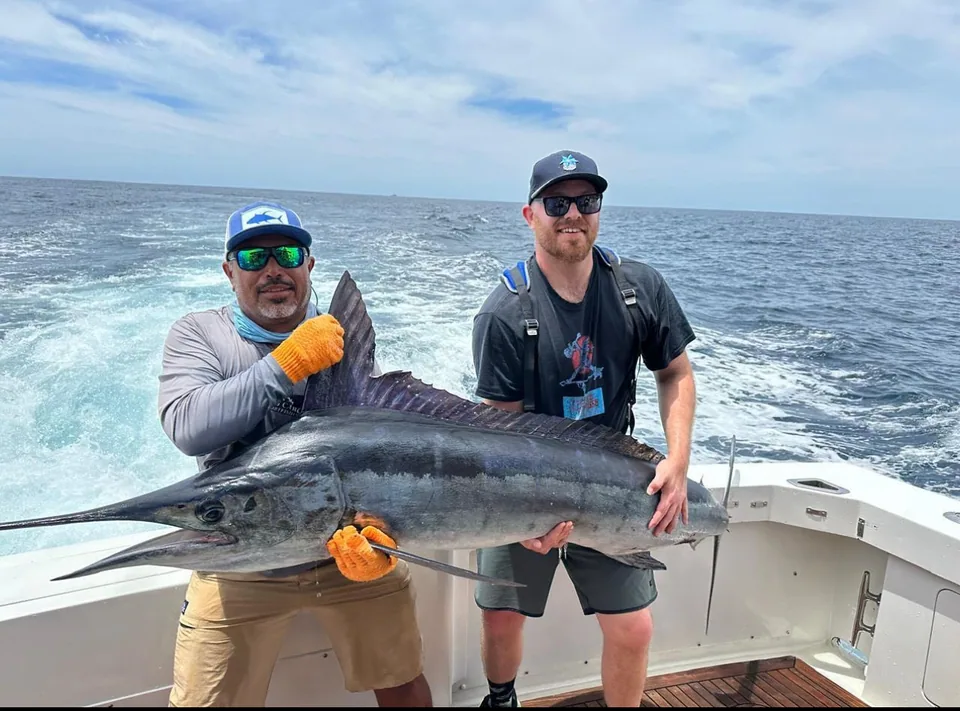Cabo San Lucas sportfishing with Tag Cabo Sportfishing