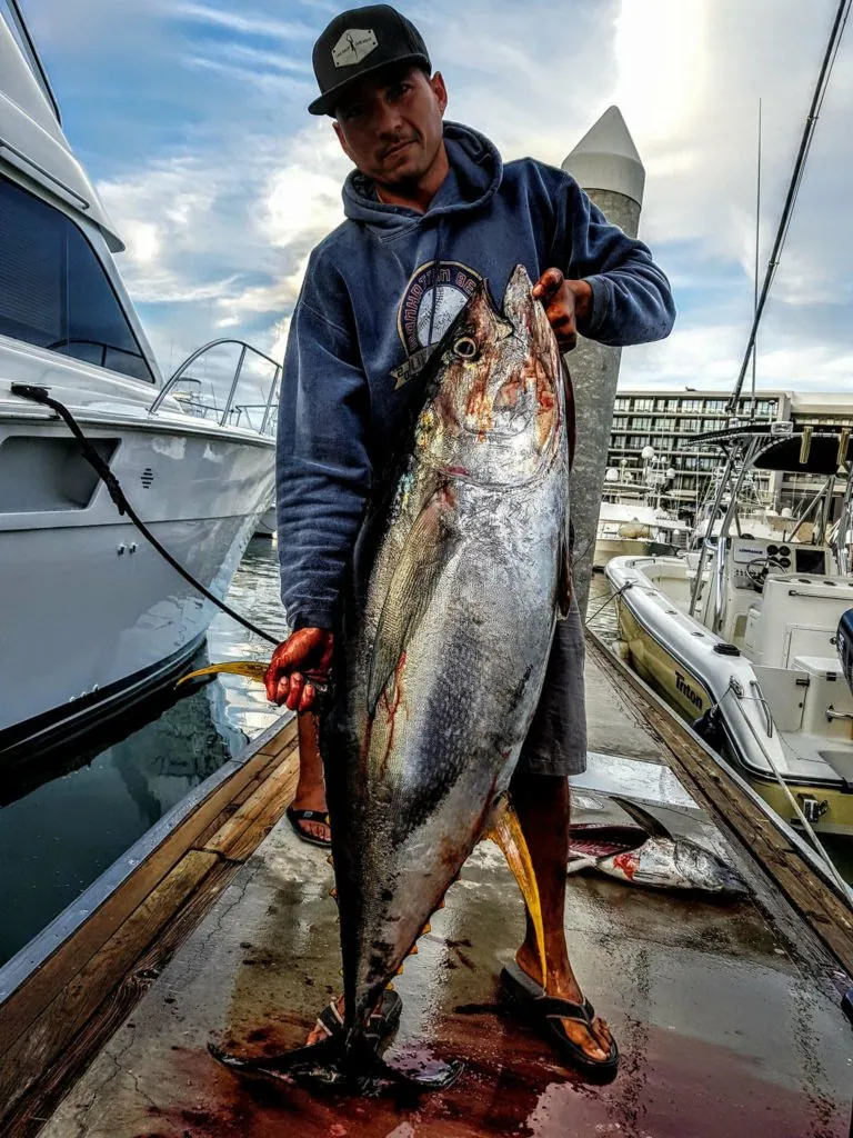 Cabo fishing report February 27th 2018