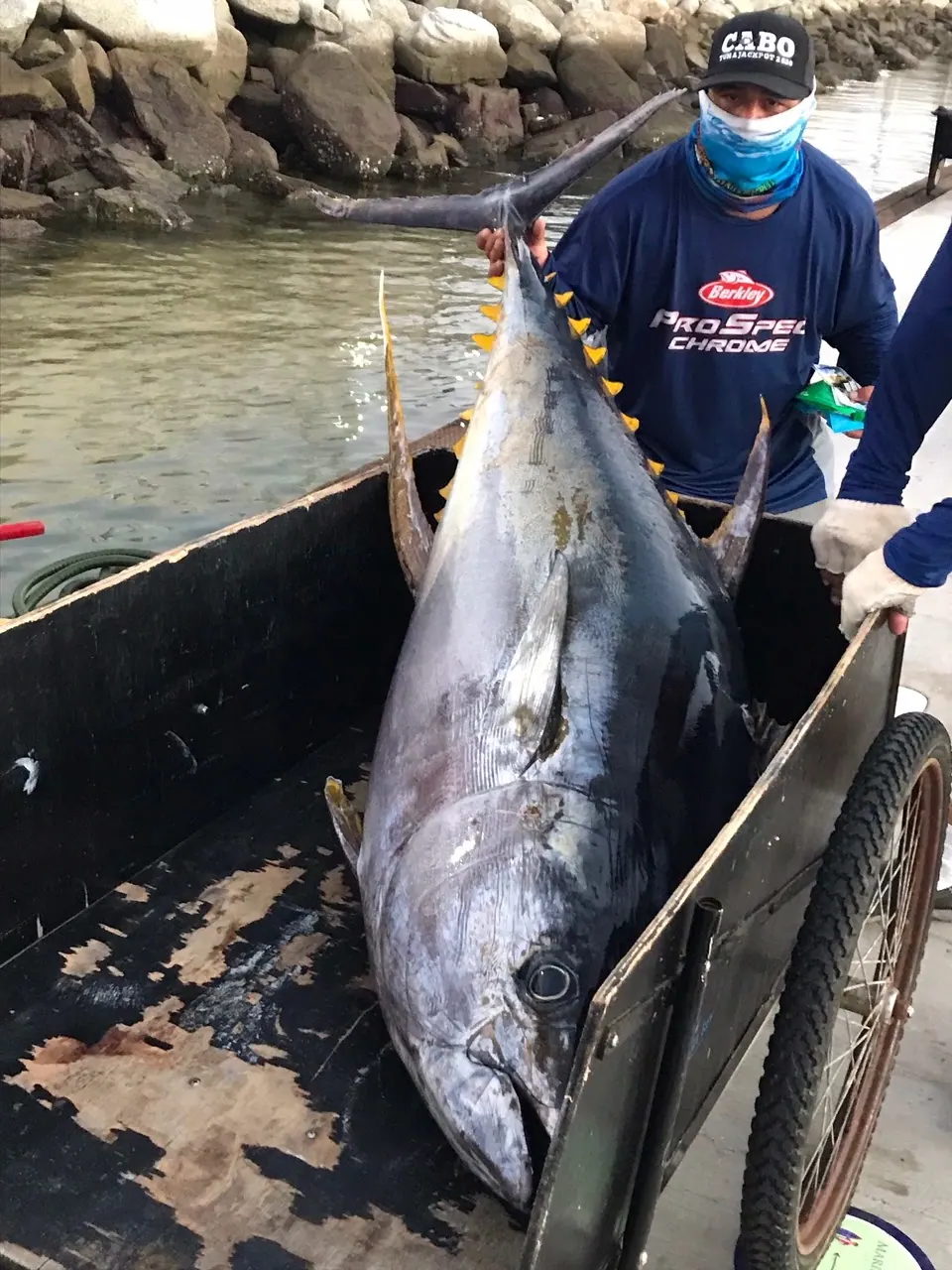 Catch photo shared by Mike Cucuzza on their Tag Cabo Sportfishing review