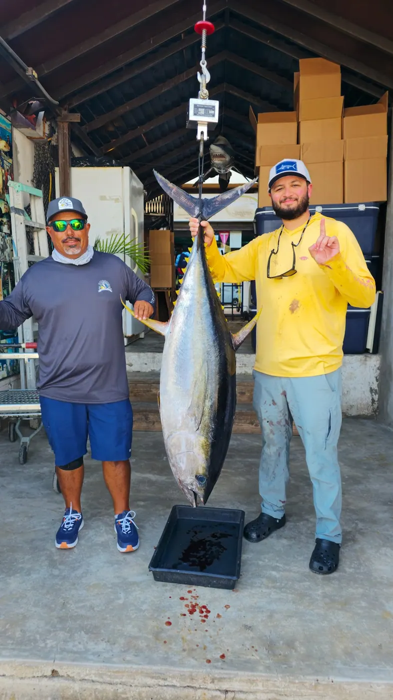 Catch photo shared by Lando Vargas on their Tag Cabo Sportfishing review