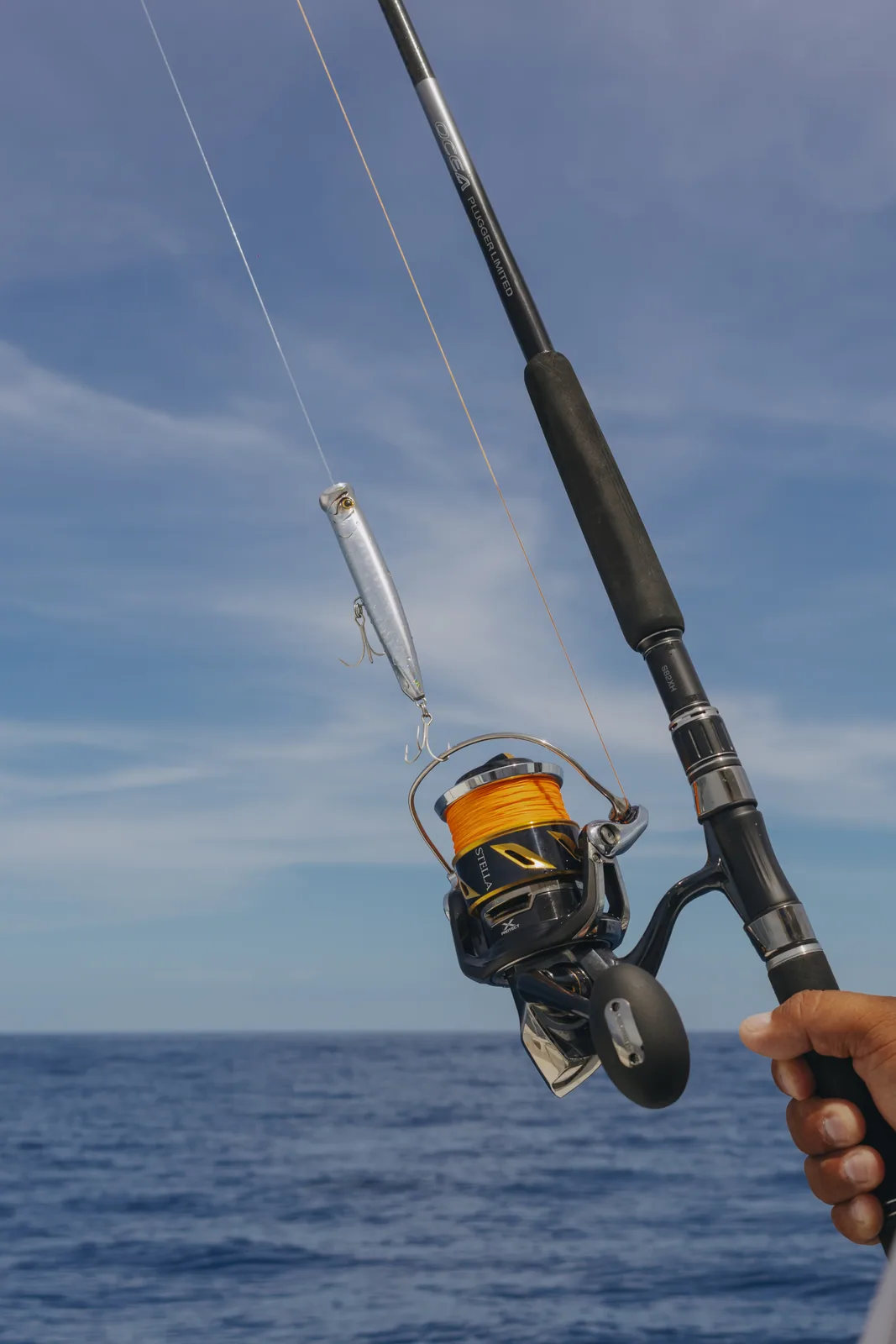 Cabo San Lucas sportfishing with Tag Cabo Sportfishing