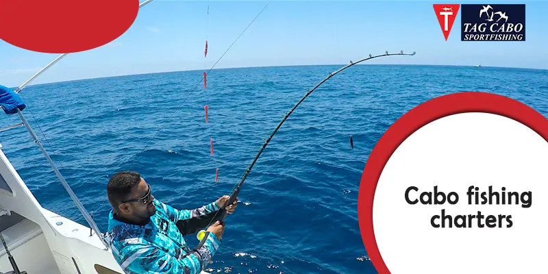 Occasions That are Perfect for Hiring A Luxury Fishing Charter in Cabo