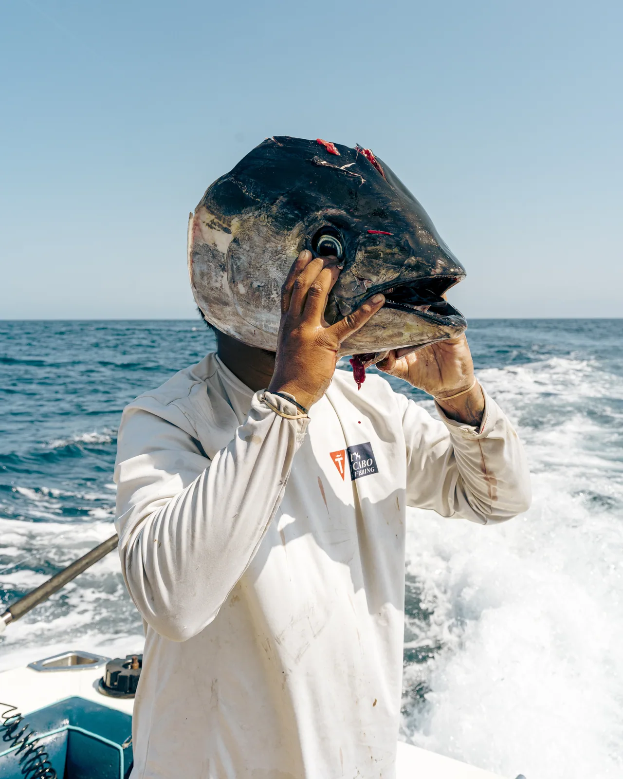 Cabo San Lucas sportfishing with Tag Cabo Sportfishing